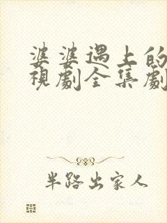 婆婆遇上的妈电视剧全集剧情介绍