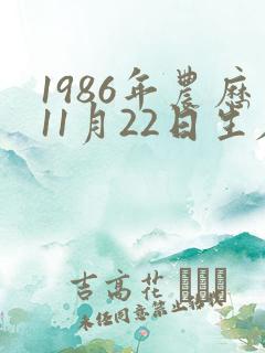 1986年农历11月22日生辰八字