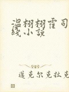温栩栩霍司爵在线小说