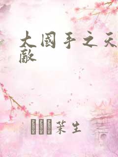 大国手之天下无敌
