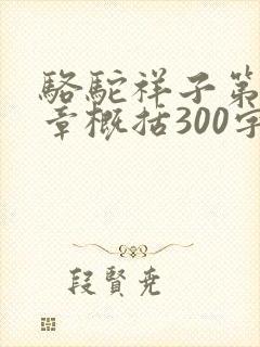 骆驼祥子第16章概括300字
