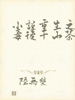 小说重生之将门毒后千山茶客正版