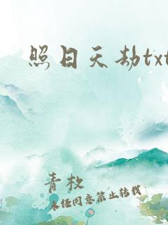 照日天劫txt