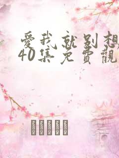 爱我就别想太多40集免费观看