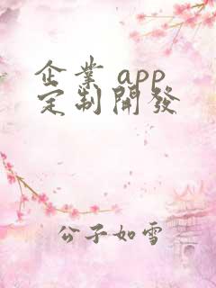 企业 app 定制开发