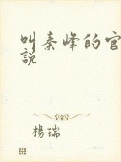 叫秦峰的官场小说