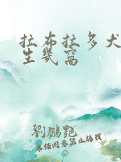 拉布拉多犬一年生几窝