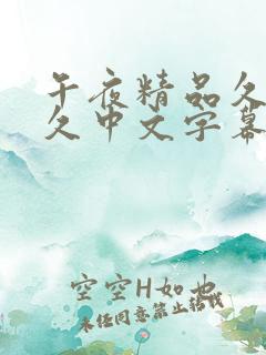 午夜精品久久久久中文字幕