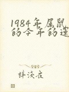 1984年属鼠的今年的运气怎么样