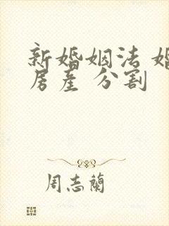 新婚姻法 婚前房产 分割