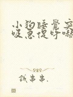 小狗睡觉突然呼吸急促呼哧呼哧的