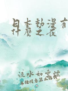 日本动漫有个叫什么之夜