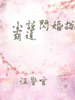 小说闪婚总裁太霸道