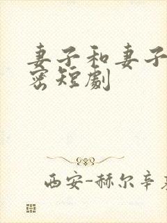 妻子和妻子的秘密短剧