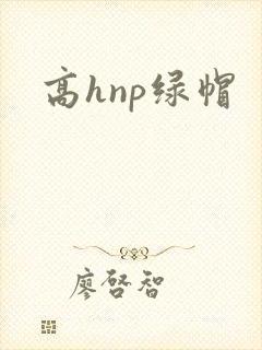 高hnp绿帽