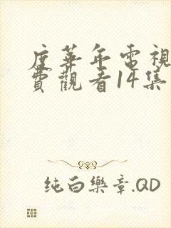 度华年电视剧免费观看14集