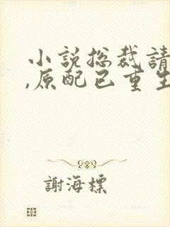 小说总裁请勿扰,原配已重生