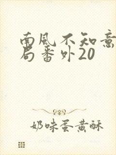 南风不知意大结局番外20