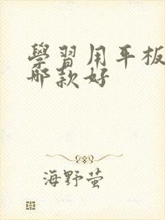 学习用平板电脑哪款好