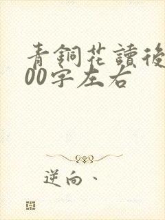 青铜花读后感500字左右
