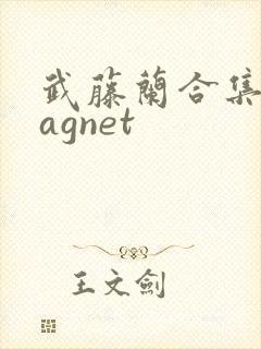 武藤兰合集 magnet