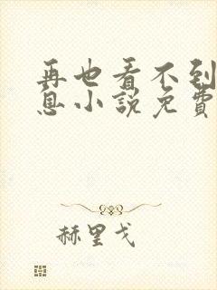 再也看不到的信息小说免费阅读