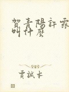 贺青阳许霖小说叫什么