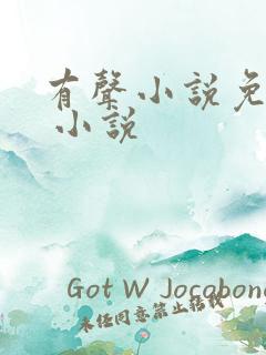 有声小说免费的 小说