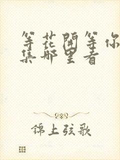 等花开等你归全集哪里看