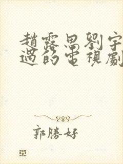赵露思刘宇宁演过的电视剧