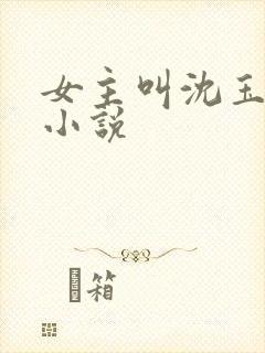 女主叫沈玉瑶的小说