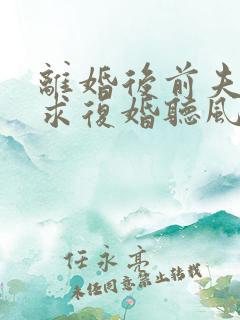 离婚后前夫哭着求复婚听风说雾正版 离婚后前夫哭着求复婚听风说雾正版