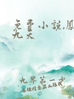 免费小说,凤唳九天