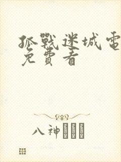 孤战迷城电视剧免费看