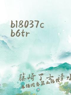 bl8037cb6tr