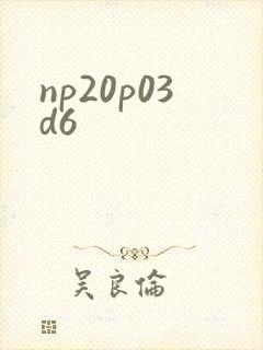 np20p03d6