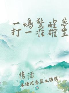 一鸣惊醒梦中人打一准确生肖