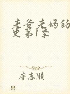 老爸老妈的浪漫史第1季 老爸老妈的浪漫史第1季