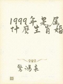 1999年是属什么生肖婚配最好