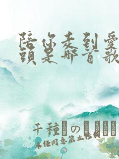 陪你走到爱的尽头是哪首歌的歌词