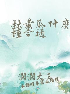秋黄瓜什么季节种合适