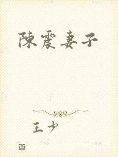 陈震妻子