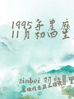 1995年农历11月初四生辰八字 1995年农历11月初四生辰八字
