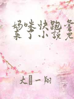 妈咪快跑爹地追来了小说免费阅读