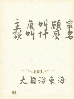 主角叫顾宁的小说叫什么名字