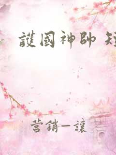 护国神帅 短剧