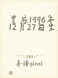 农历1996年12月27日生辰八字 农历1996年12月27日生辰八字