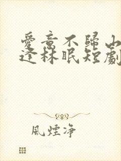 爱意不归山水不逢林眠短剧免费观看