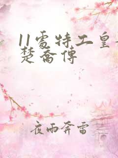 11处特工皇妃楚乔传