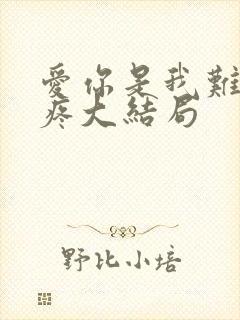 爱你是我难言的疼大结局